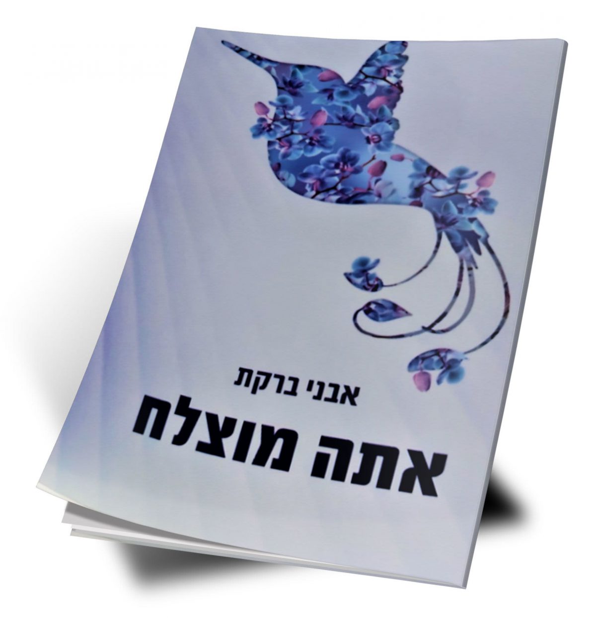 הרב שלום ארוש- אתה מוצלח