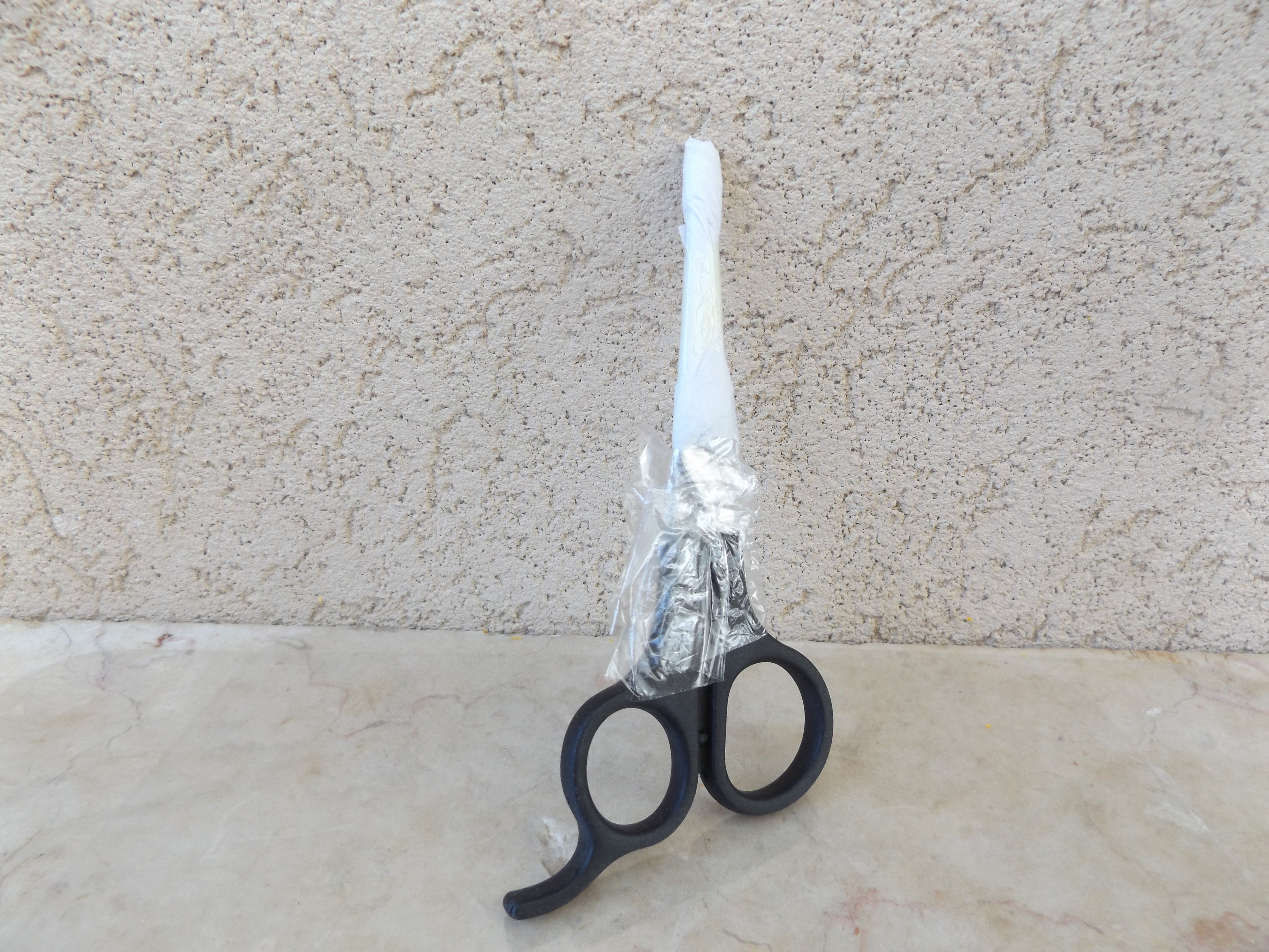נרתיק לתלתל הראשון