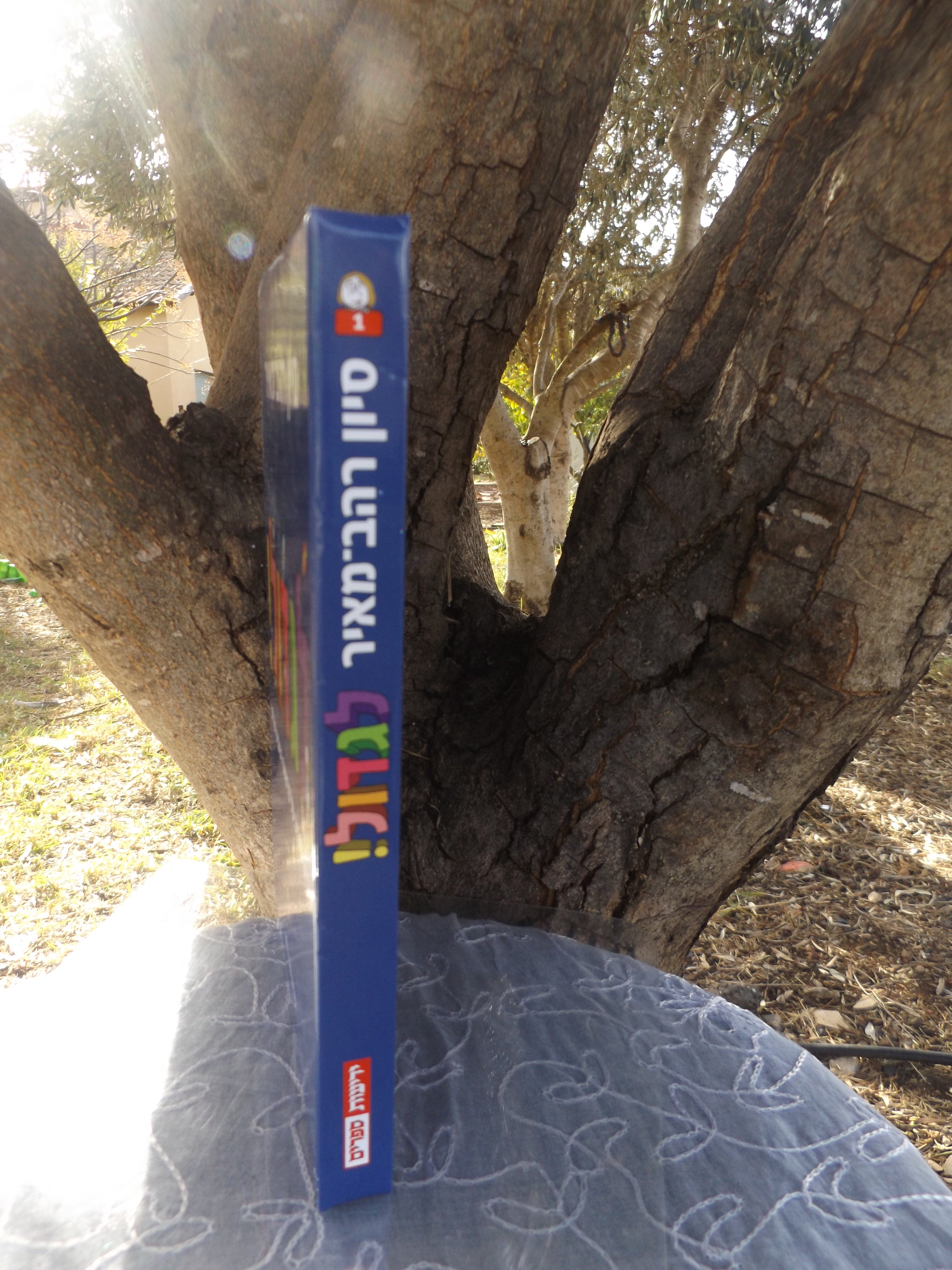 לגדול כרך 1/ סיון רהב מאיר