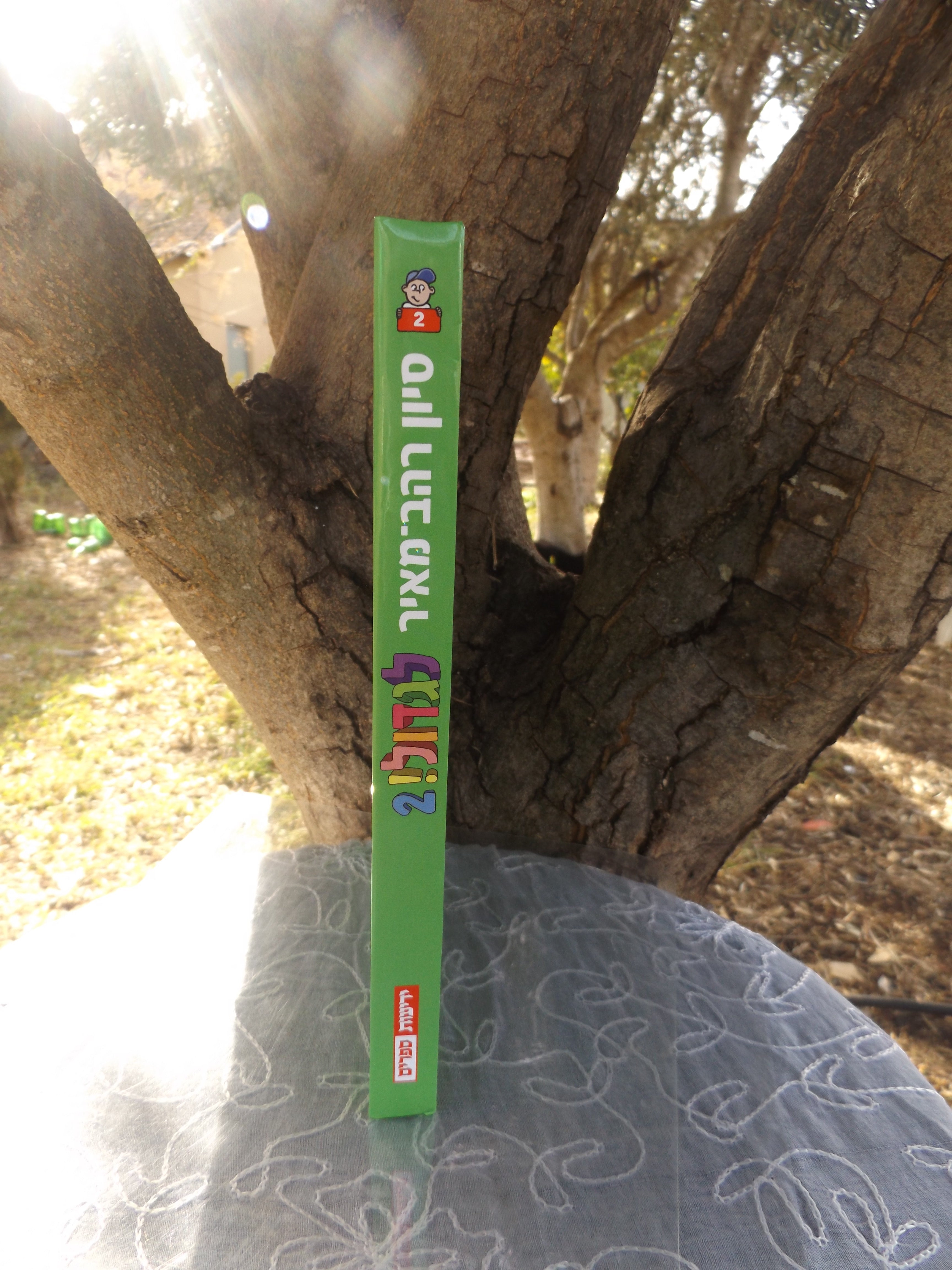 לגדול כרך 2/ סיון רהב מאיר
