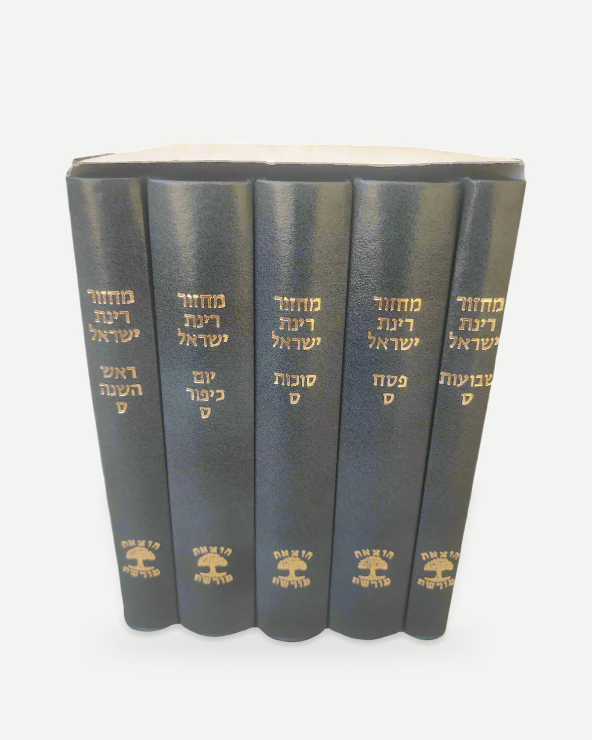 סט מחזורים רינת ישראל